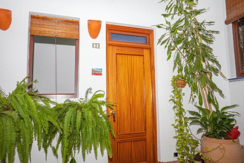 Fotografie z fotogalerie ubytování Pension San Pancracio v destinaci Seville