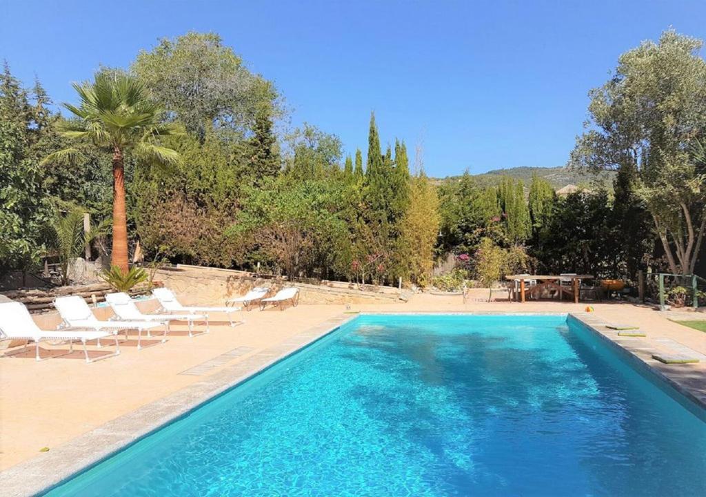 uma piscina com cadeiras brancas e uma palmeira em Finca Fila By LeMón Holiday em Esporles