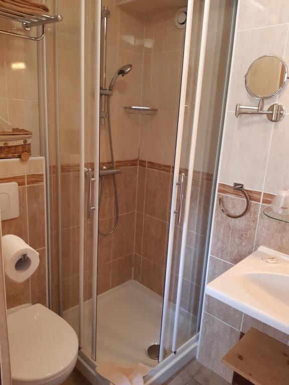 Koupelna v ubytování Hôtel Arolla