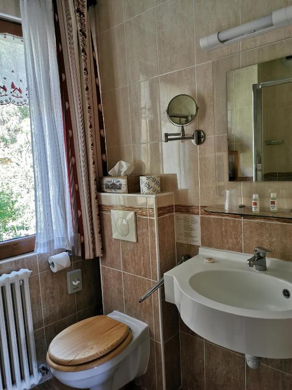 Koupelna v ubytování Hôtel Arolla
