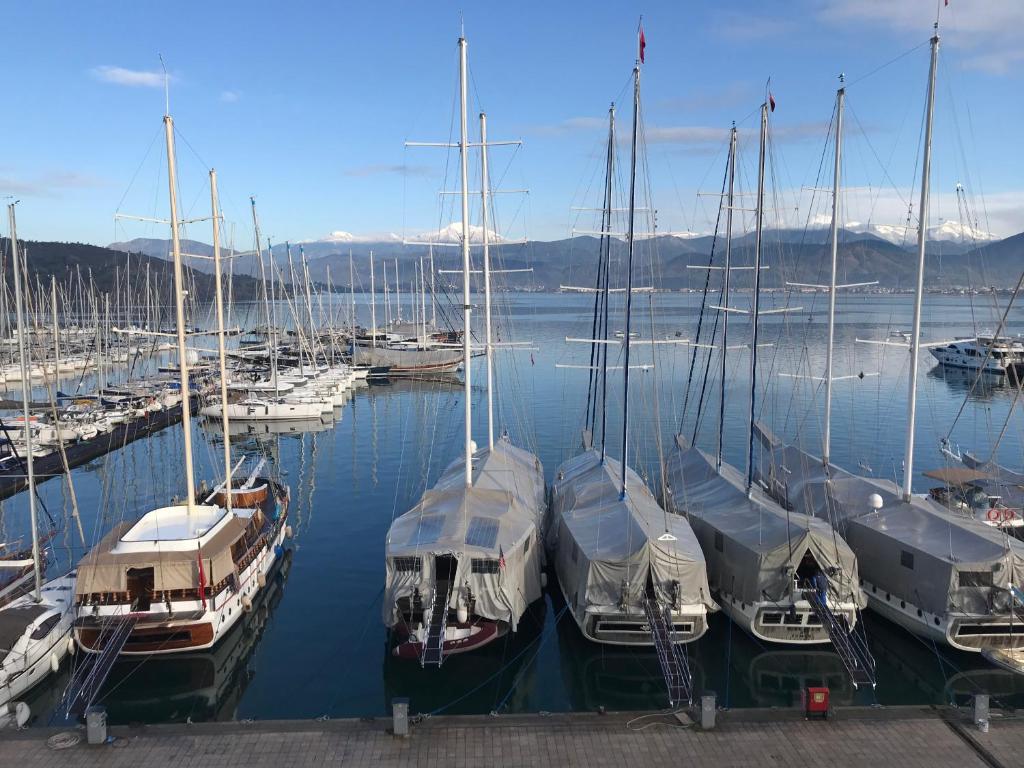 Ece Marina Suites - 4