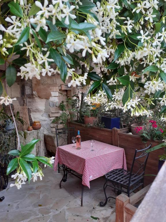 une table et des chaises sous un arbre avec des fleurs dans l'établissement Chez Nathalie, à Maussane-les-Alpilles