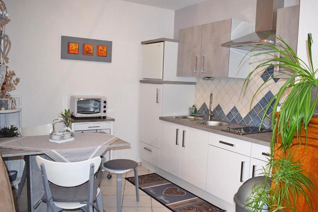 Kuchyň nebo kuchyňský kout v ubytování Landhaus Kühn