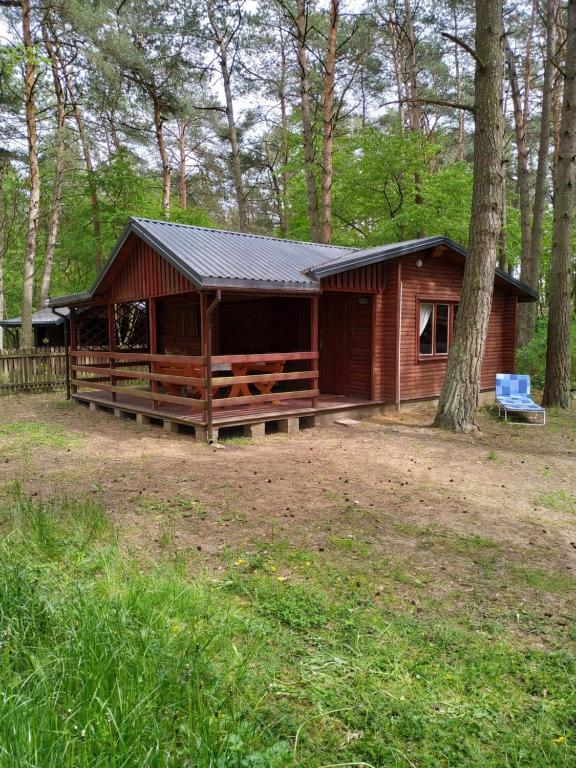 une cabane dans les bois avec un arbre dans l'établissement Domek nad Bugiem, à Wólka Nadbużna