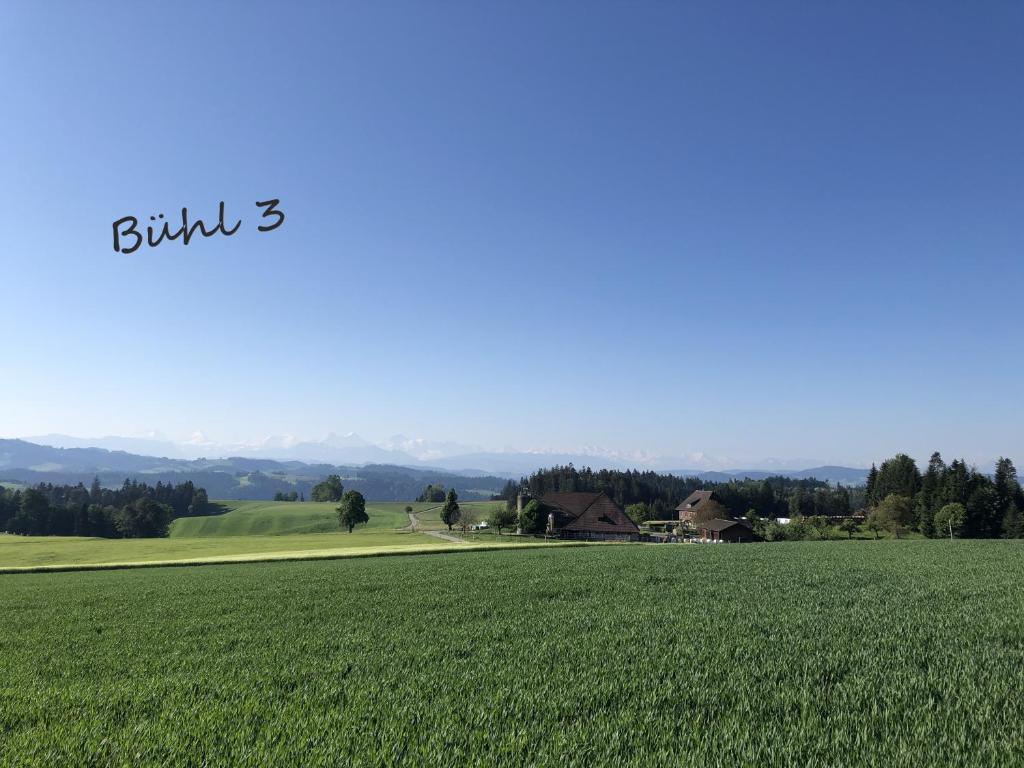 a field of green grass with a house in the background at Bühl 3 in Affoltern