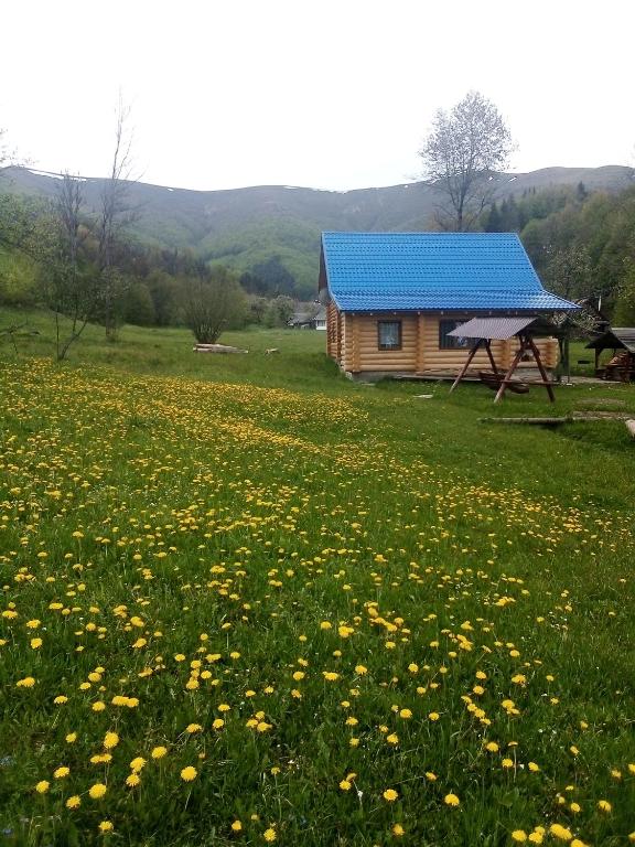 Příroda nedaleko motelu