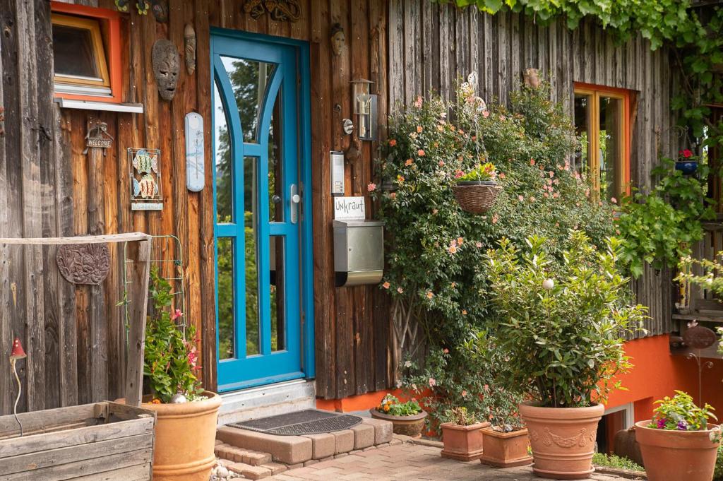 a blue door on a house with potted plants at Sweet Home in Gedern