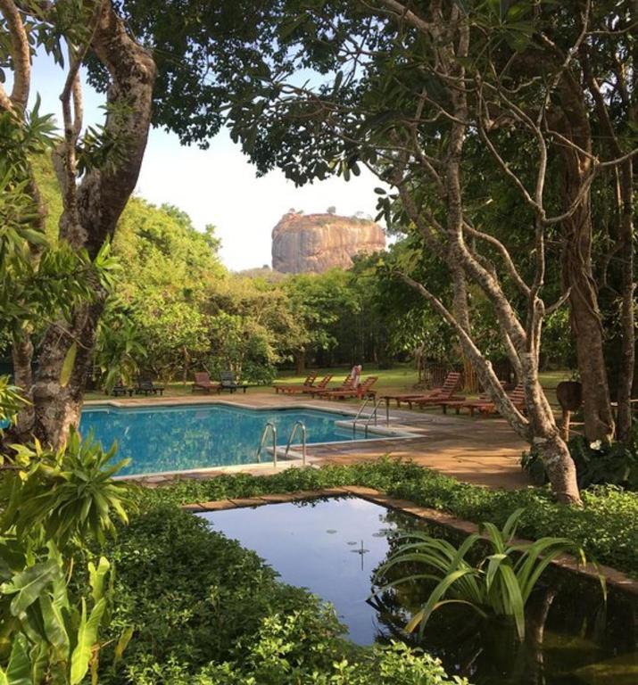 Bazén v ubytování Sigiriya Village nebo v jeho okolí