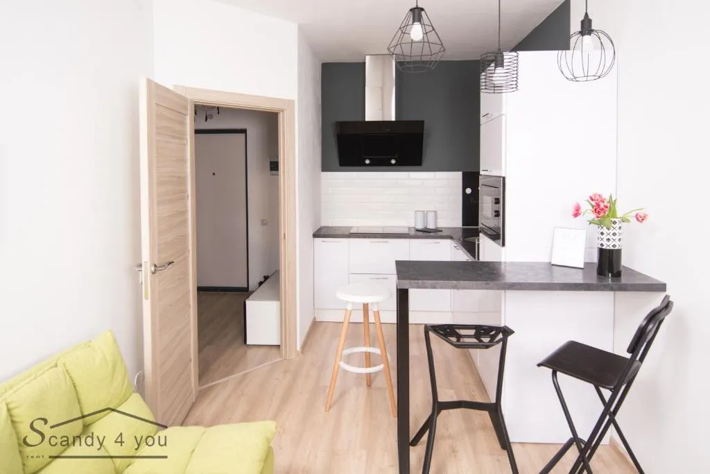 Scandy 4 You Apartments, Kudrovo, Russia