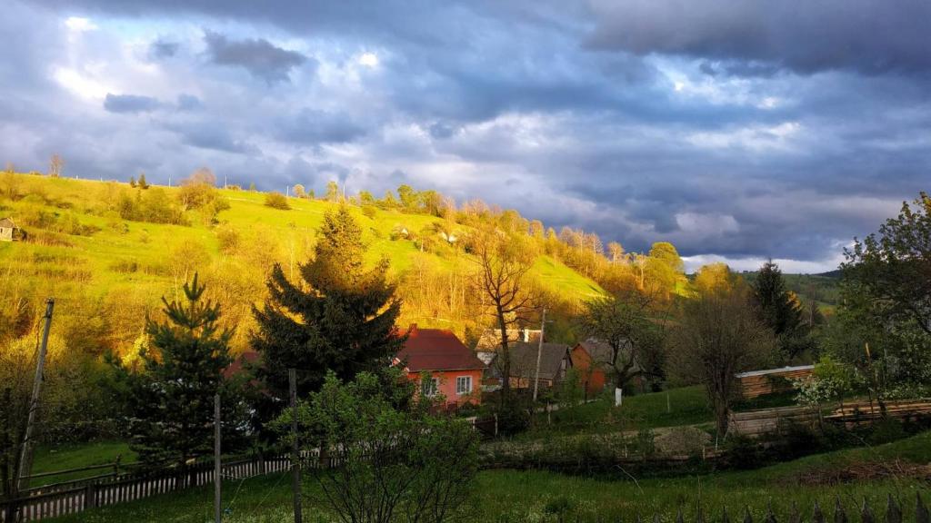 ラーゼシュチュナにあるGostynnyi Dvir u Marichkyの木の茂る田舎の家