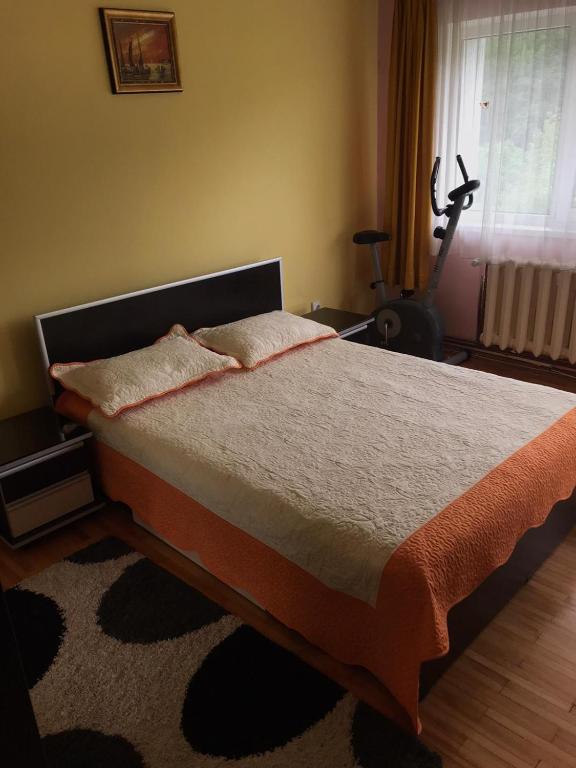 Apartament Gratiela