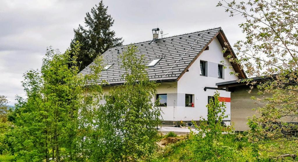 een wit huis met een grijs dak bij Do zahrady in Liberec