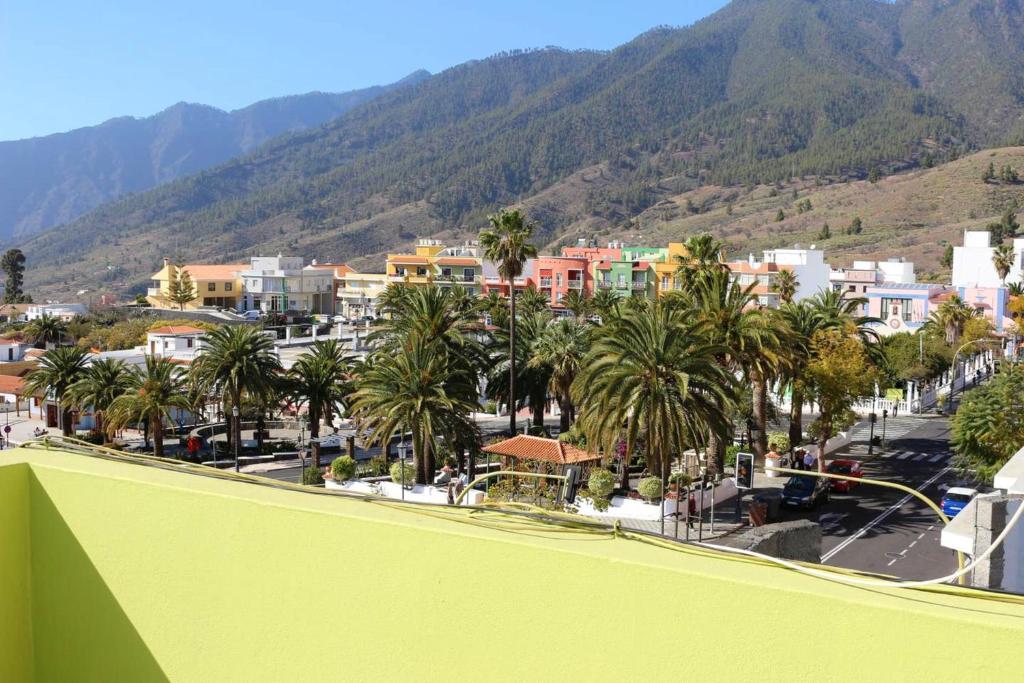 a view of a city with palm trees and mountains at Welcoming apartment with mountain view in El Paso