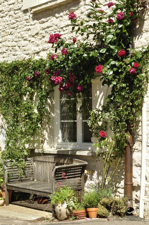 un banco sentado frente a una ventana con rosas en Petit Montrachet en Chassagne-Montrachet