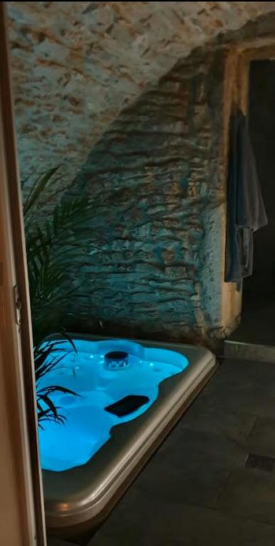 jaccuzi & spa des caves Stanislas - Apartamento De Una Habitación