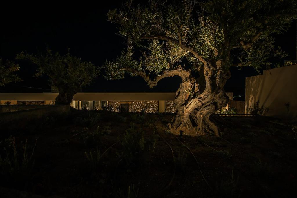 Fotografie z fotogalerie ubytování Nuez Villas v destinaci Mochlos