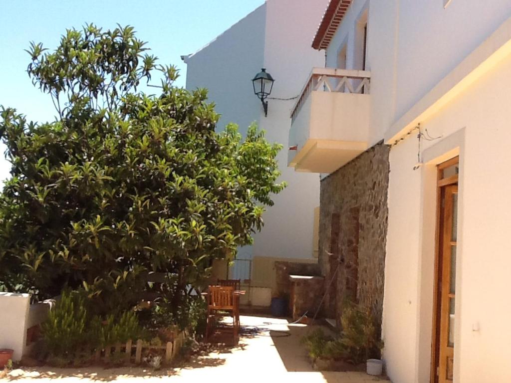 a courtyard of a house with a tree and a chair at 2 bedrooms house with enclosed garden and wifi at Aljezur 8 km away from the beach in Aljezur
