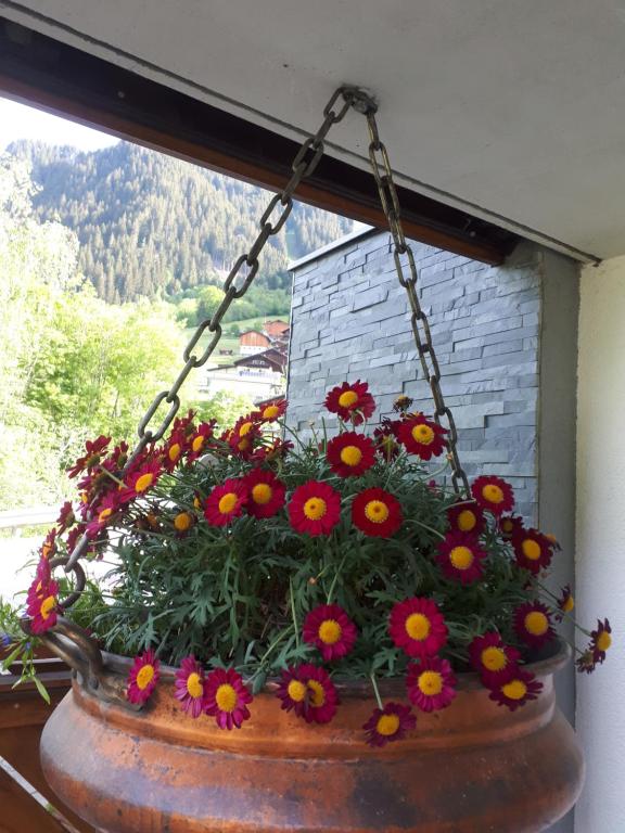 Zahrada ubytování Haus Gabriele