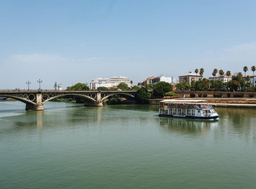 Rocío Suites Apartments - 17