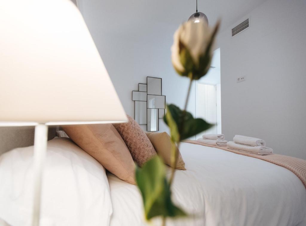 Arjona Suite Apartment - 19