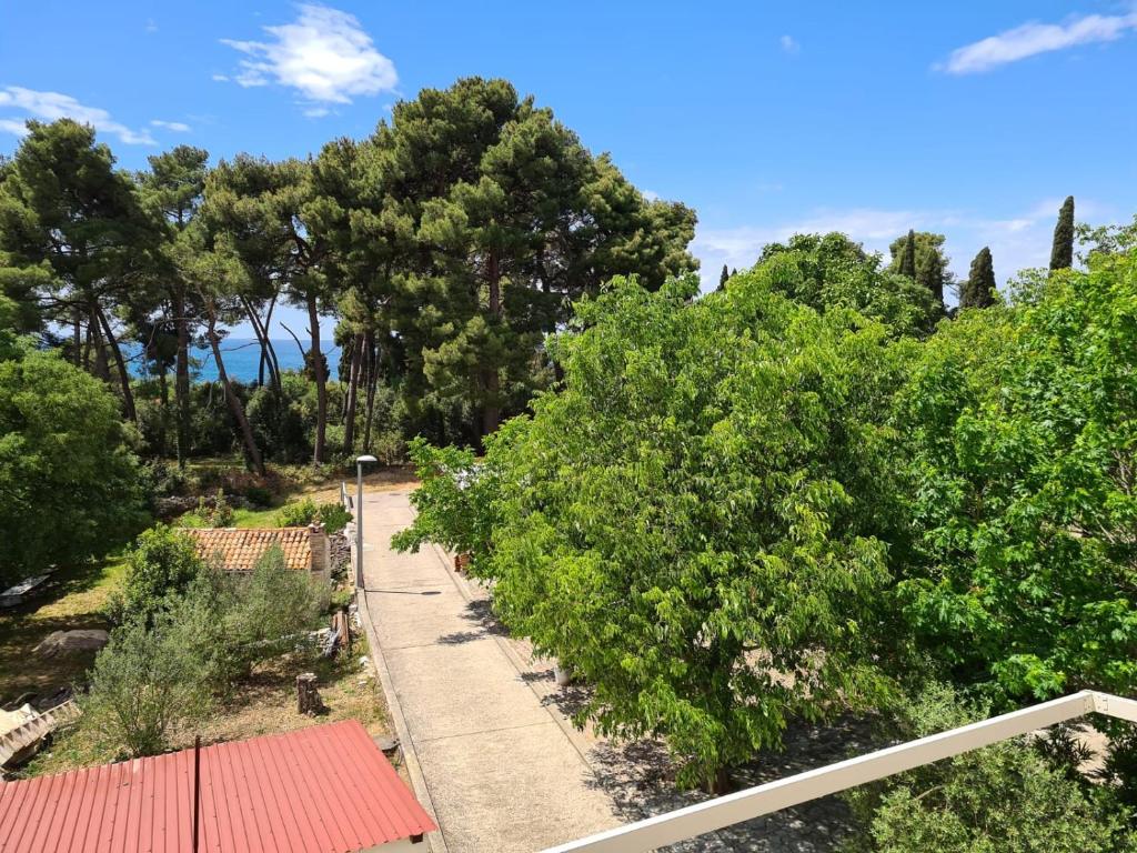 Příroda nedaleko apartmánu