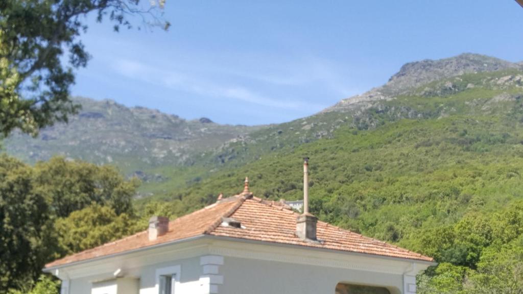 Příroda nedaleko apartmánu