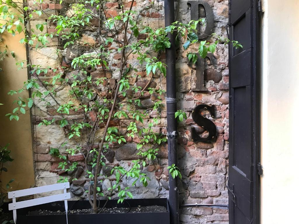 Dimora Tito Speri near Arena - 1