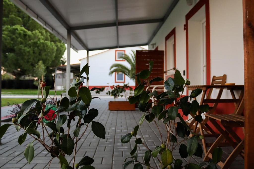 uma planta em frente a uma casa com um alpendre em Casa das Pipas #2 no Pinhal Novo