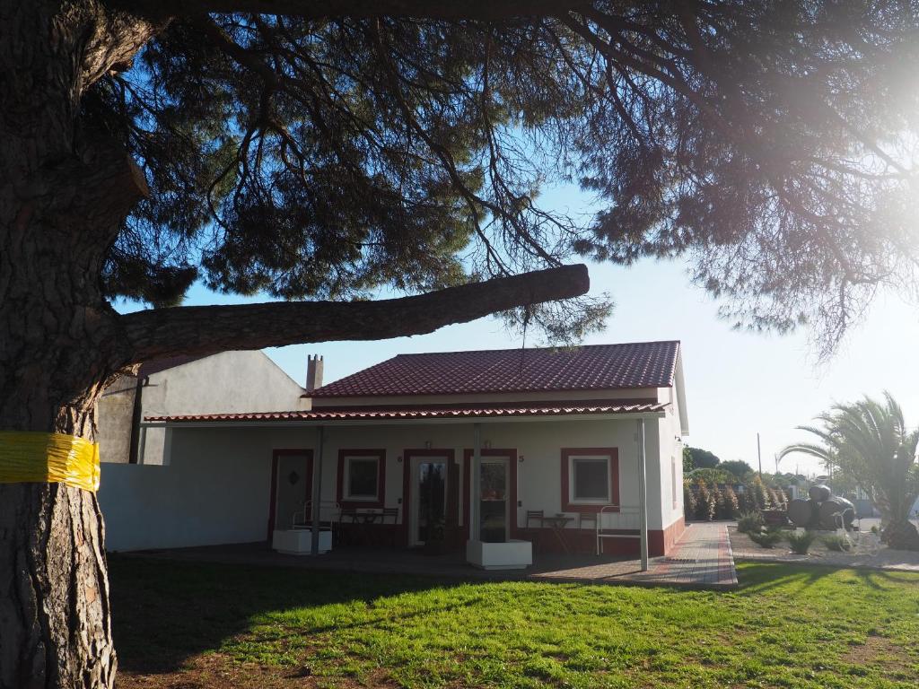 una pequeña casa blanca con un árbol delante en Casa das Pipas #6, en Pinhal Novo