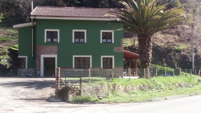 una casa verde con una palmera delante de ella en Hotel peñacabrera 1 en Santa Eulalia