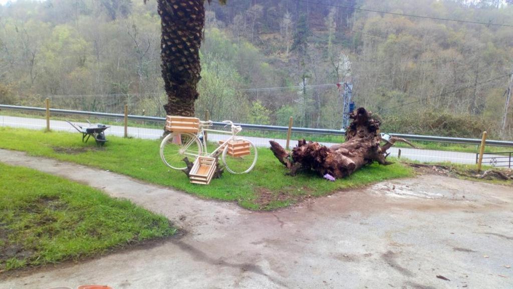 Zvířata v hotelu nebo okolí