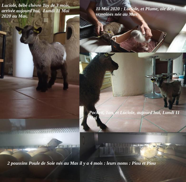Le Mas De La Jardine Velleron Updated 21 Prices
