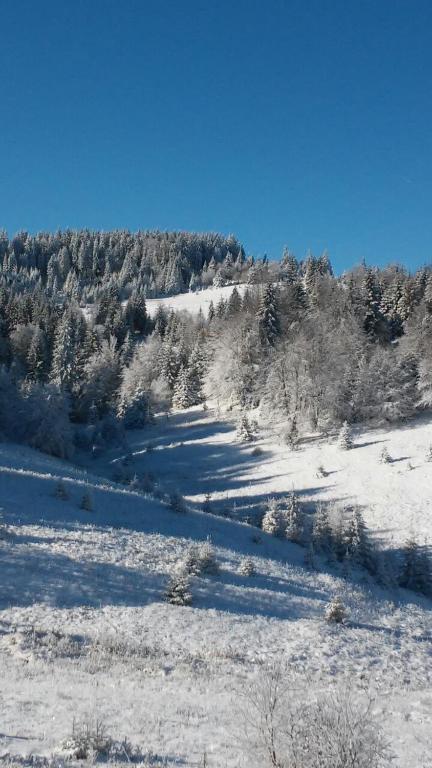 Golija Vikendica Česta Vrela v zimě
