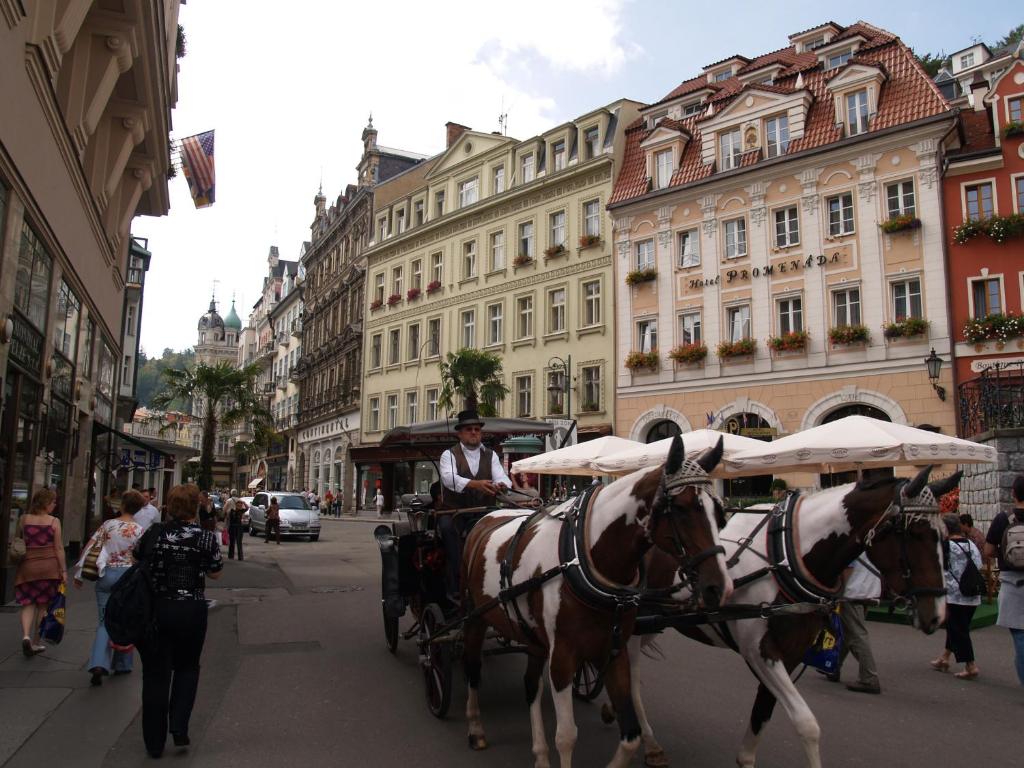 Ein paar Pferde ziehen eine Kutsche die Straße runter. in der Unterkunft Apartment No. 2 Tržiště 29 in Karlsbad