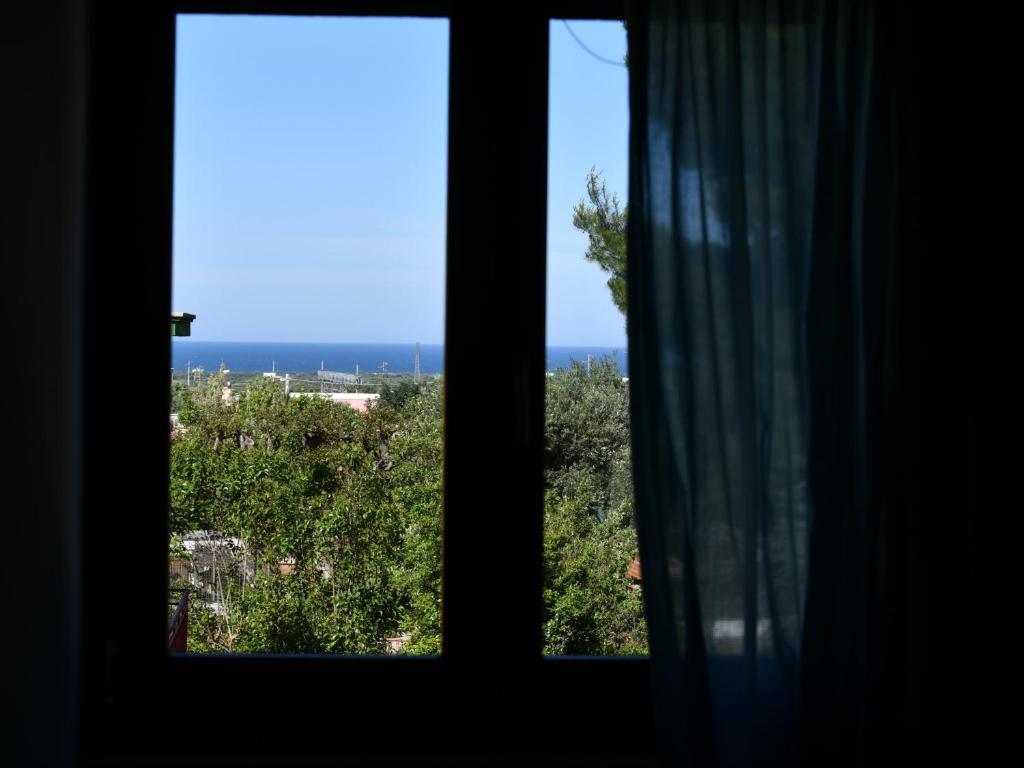 Príroda v okolí of the bed and breakfast