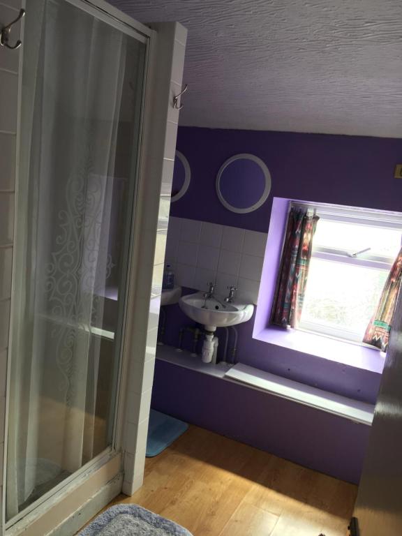 a bathroom with a shower and a sink at Pantyrathro International Hostel in Carmarthen