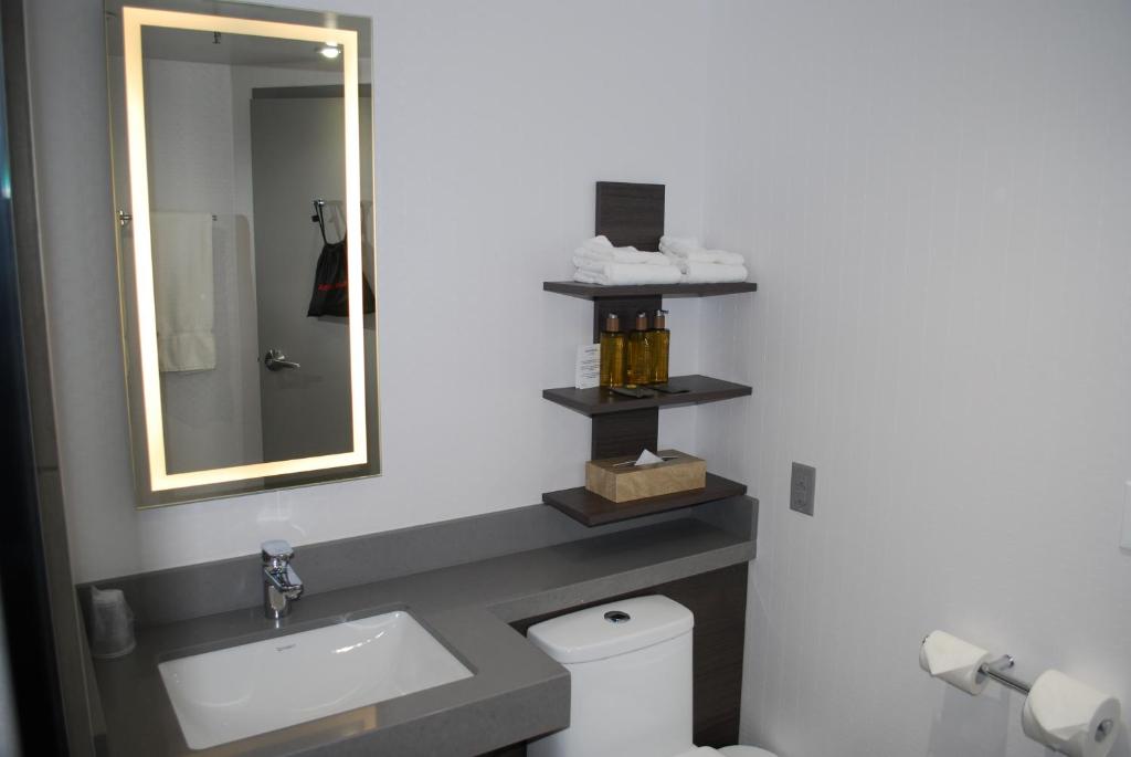 DoubleTree by Hilton Ottawa Downtownにあるバスルーム