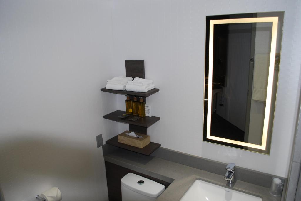 DoubleTree by Hilton Ottawa Downtownにあるバスルーム