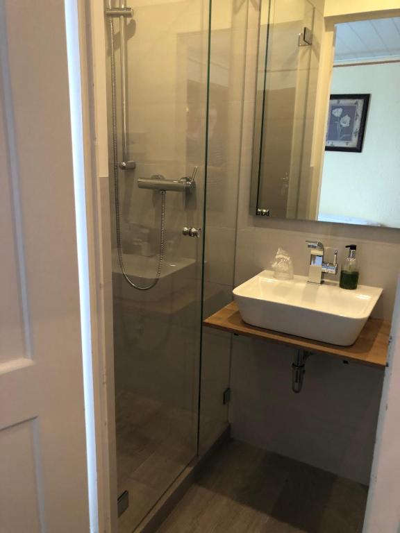 Hotel Albus - Single Room