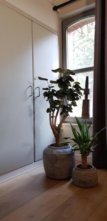 Fotografie z fotogalerie ubytování B&B Bergenhof v destinaci Hoogstraten