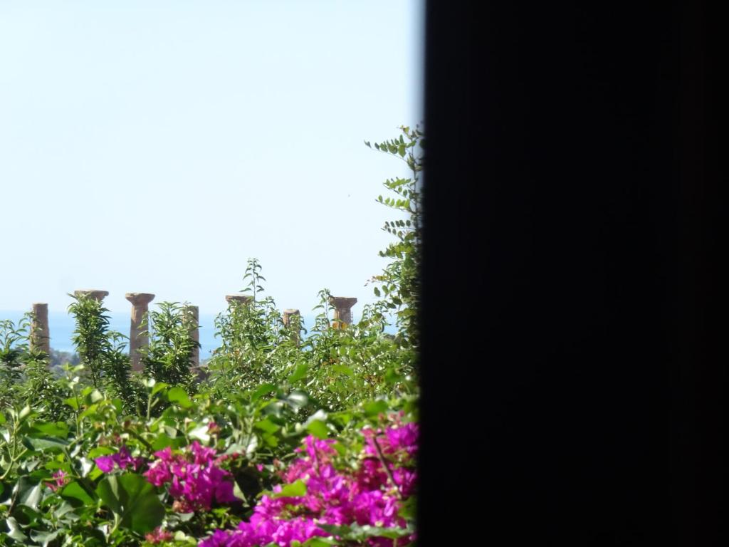 B&B Villa San Marco - 19