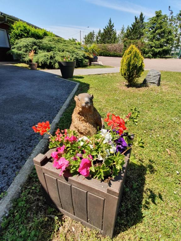 Zahrada ubytování Eqynox Hotel