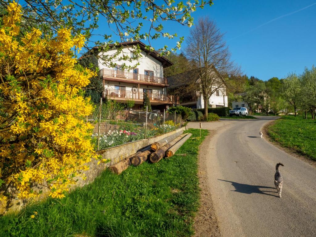 Jízda na kole v ubytování Bauernhof Waira nebo okolí
