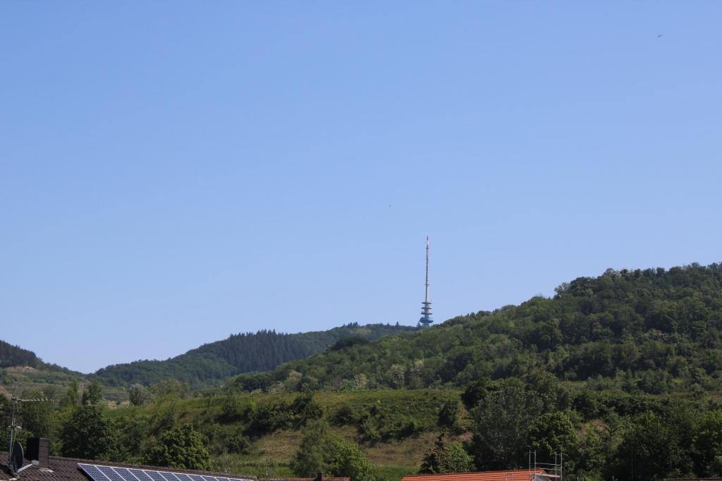Příroda nedaleko apartmánu