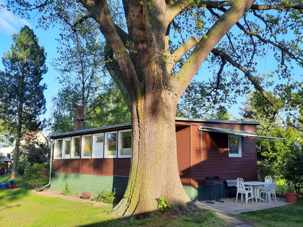 una casa con un árbol delante de ella en Ferienhaus Eichenblatt, en Werder