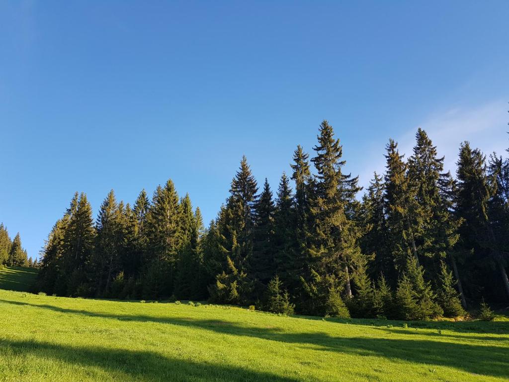 Příroda nedaleko apartmánu