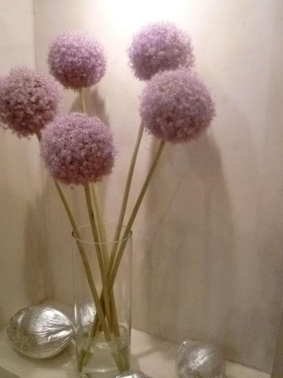 Hotel Rossetti - Resim 24