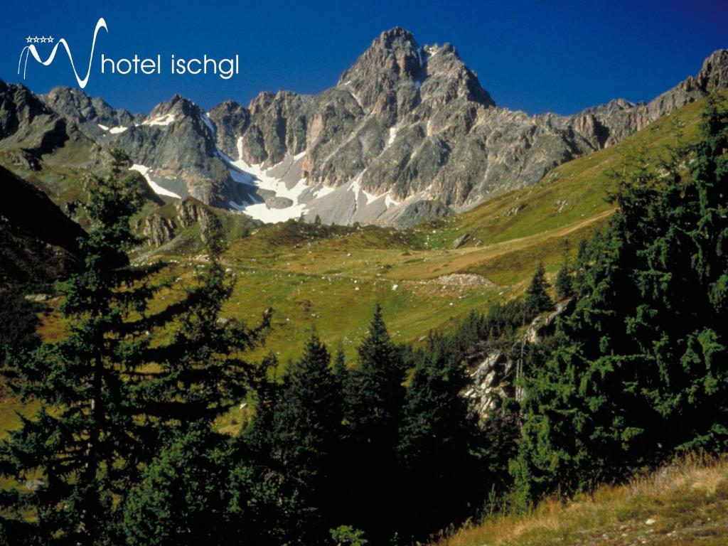 Příroda nedaleko hotelu