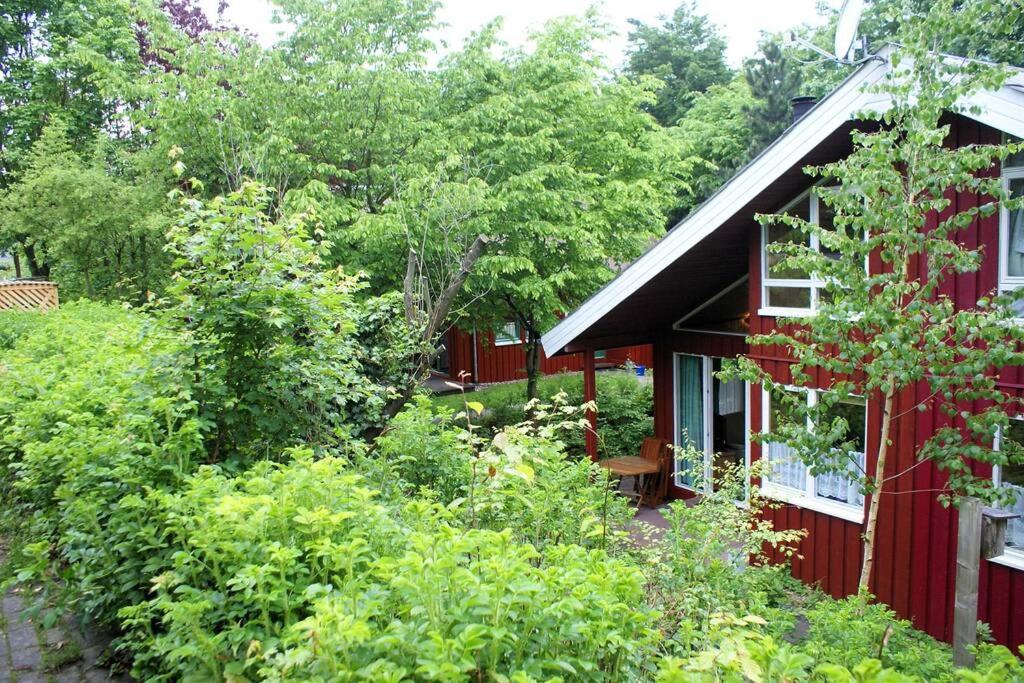 a red house surrounded by trees and bushes at Ferienhaus Anke nur für Urlauber! in Bremke