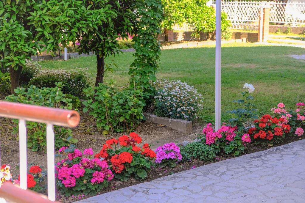 حديقة خارج Vila Adriatik